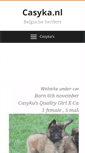 Mobile Screenshot of casyka.nl